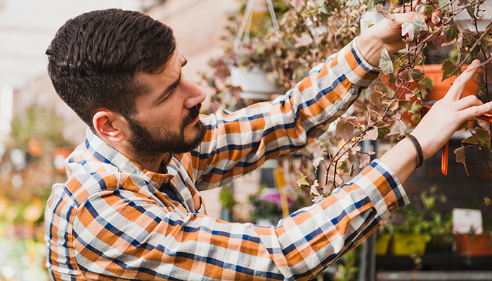 Horticulture specialist inspects health of plants