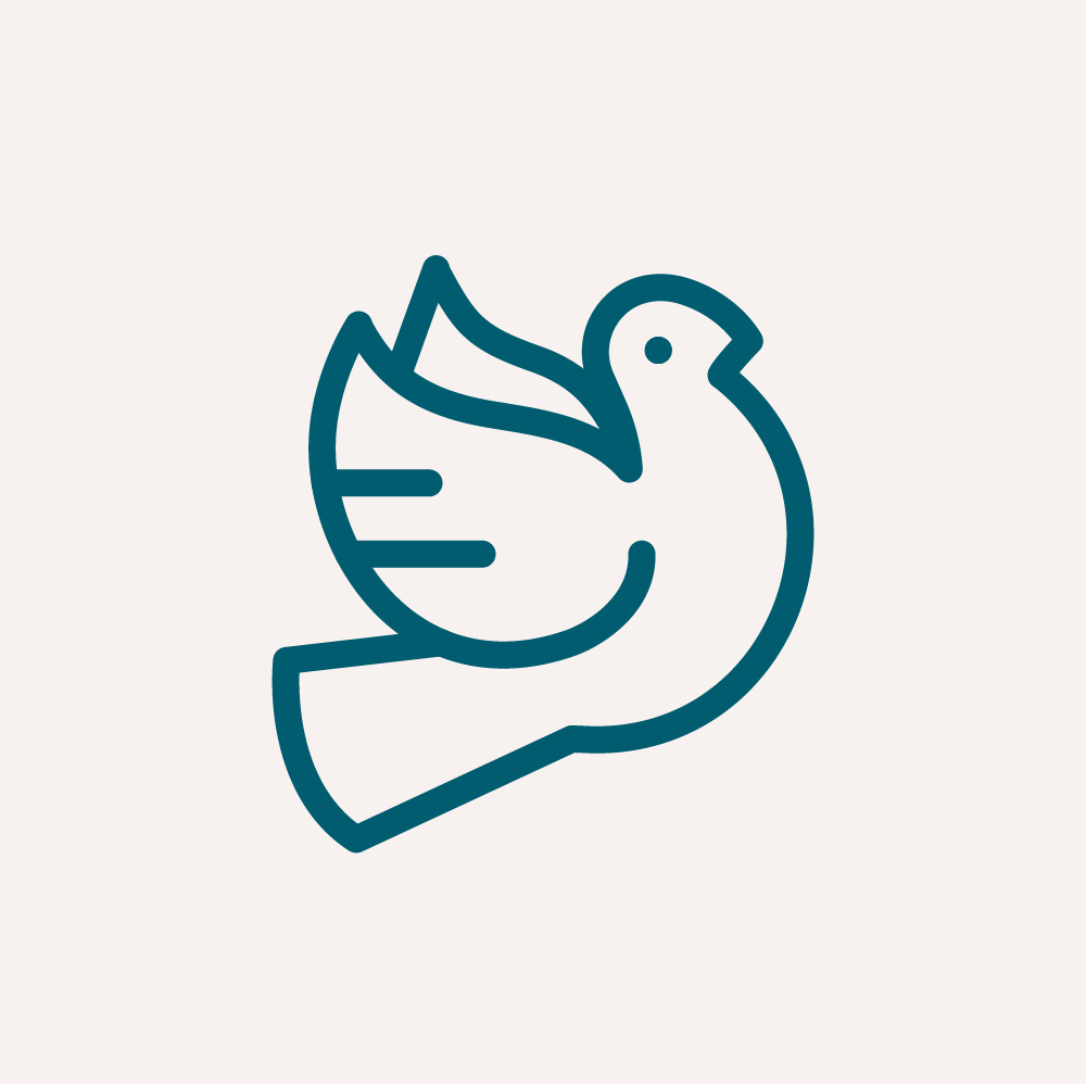Peace Corps Experience Icon