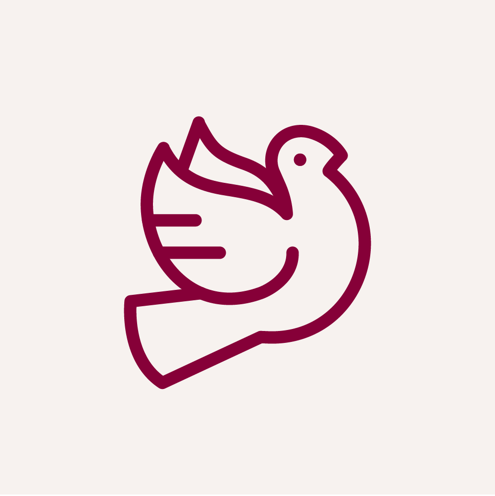 Peace Corps Icon