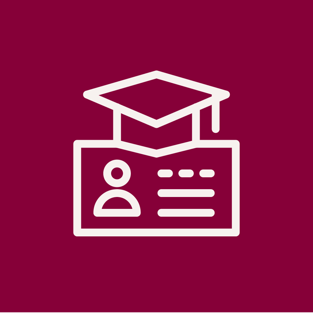 College or University Internship Icon