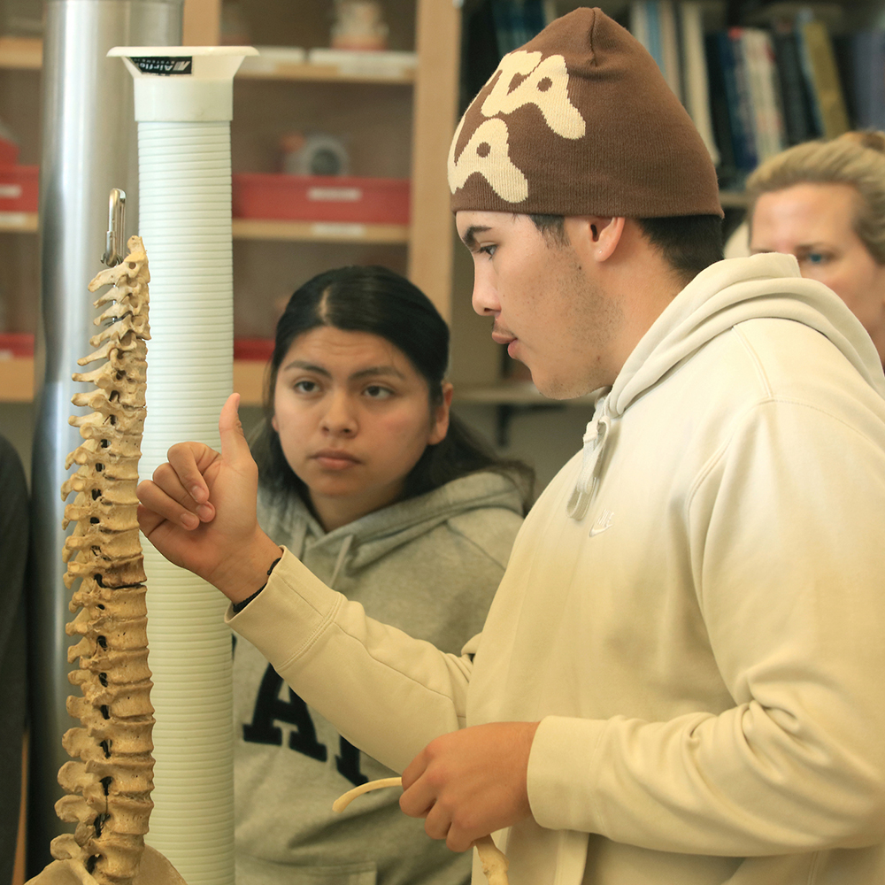 MPC students learning the skeletal system during lab class