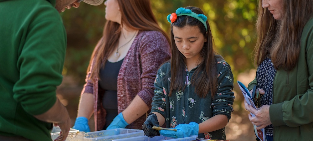 Chlld Participating in Family STEM Day