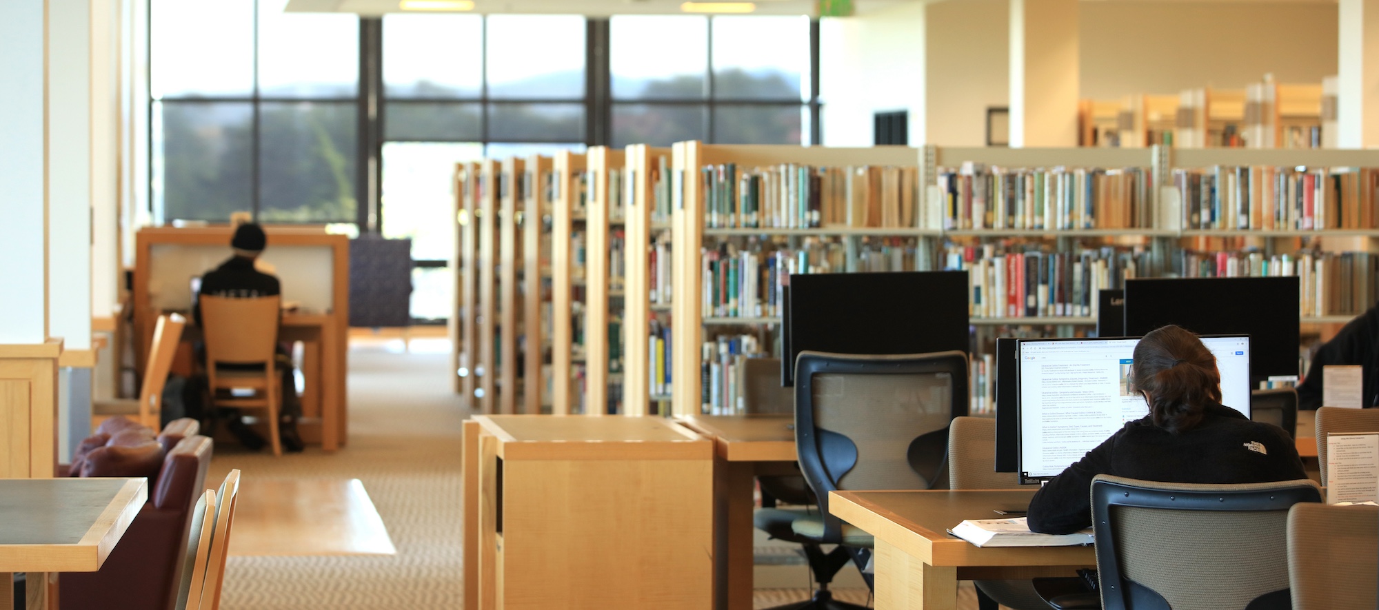 Bookshelves and Study Desks Inside MPC Library